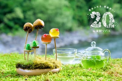 奥入瀬渓流酒店推出春季苔藓赏花活动——超越樱花的新季节性传统