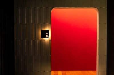 Ginza Koguma x Gokokuya Yamamusubi (Black Tamari & Yuzu Kosho) Now Available