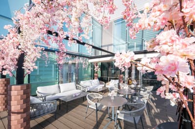 SAKURA Terrace Café & Bar Musim Semi Terbatas Dibuka di Lotte City Hotel Kinshicho