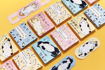 Celebrating Cat Day on February 22nd with New "Nyanwari Steam Lazy Eye Mask" Gift Sets Featuring Polite Greeting Messages