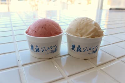 將乳製品的課題化為美味——山梨縣笛吹市推出以乳清為基底的水果義式冰淇淋