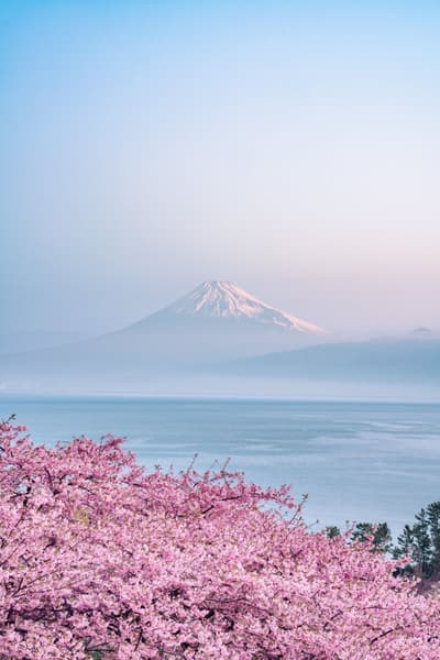 摄影师Sho作品展将于2026年4月在RESOL上野酒店画廊开幕