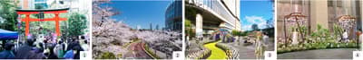 Spring Flower Events at Nihonbashi and Tokyo Midtown Locations in 2026