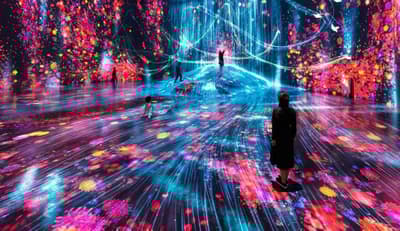 MORI Building DIGITAL ART MUSEUM：EPSON teamLab Borderless在麻布台之丘迎来2周年，接待了来自170多个国家和地区的324万名游客