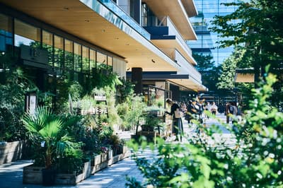 ¡Primera renovación de GREEN SPRINGS! Nuevas tiendas que abrirán esta primavera (Primavera de 2026 / Salida Norte de la estación JR Tachikawa)