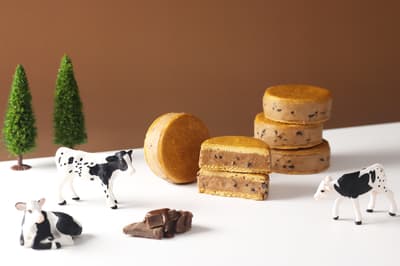 Asagiri Milk Revela una Indulgente Colección de Dulces de Chocolate para el Invierno de 2026