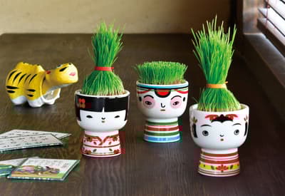 Traditional Kokeshi-Inspired Growing Kit Released - Grass "Hair" Styling Fun