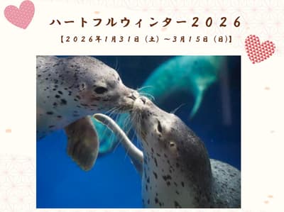 上越市立水族博物館うみがたり Heartful Winter 2026 - 情人節與白色情人節特別活動