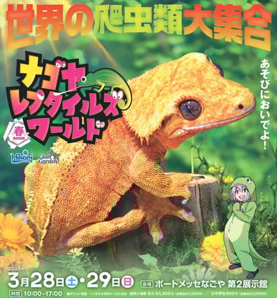 NAGOYA REPTILES WORLD 2026 SPRING เตรียมพบกันสุดสัปดาห์นี้ที่ Port Messe Nagoya