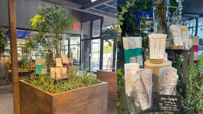 3 Cremas de Manos Especiales de Ibaraki Ya Disponibles en el Parque de las Flores de Ibaraki