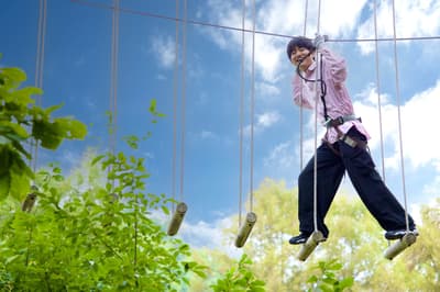 Petualangan Hutan TATESHINA Dibuka Kembali dengan Trek Baru yang Sempurna untuk Seluruh Keluarga