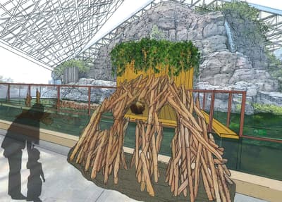 New American Beaver Exhibit Area Opens at Yokohama Hakkeijima Sea Paradise Starting March 7, 2026