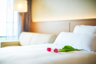 Grand Nikko Awaji Launches "Awaji Hanamatsuri 2026 Spring Stay" Package from March 2