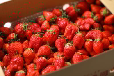 甜點天堂推出品牌草莓吃到飽，主打農場直送優質草莓