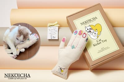 Cats Go Wild for It — Handmade Cat Kick Toy Crafted by People with Disabilities Launches April 3, 2026