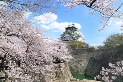 大阪新大谷酒店推出赏樱住宿套餐——每日仅限5间房