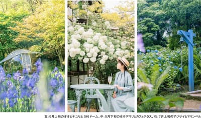 롯코 숲의 소리 박물관 페어 「가든의 하모니」 - 롯코산에 자연 정원 플라워 시즌 개막