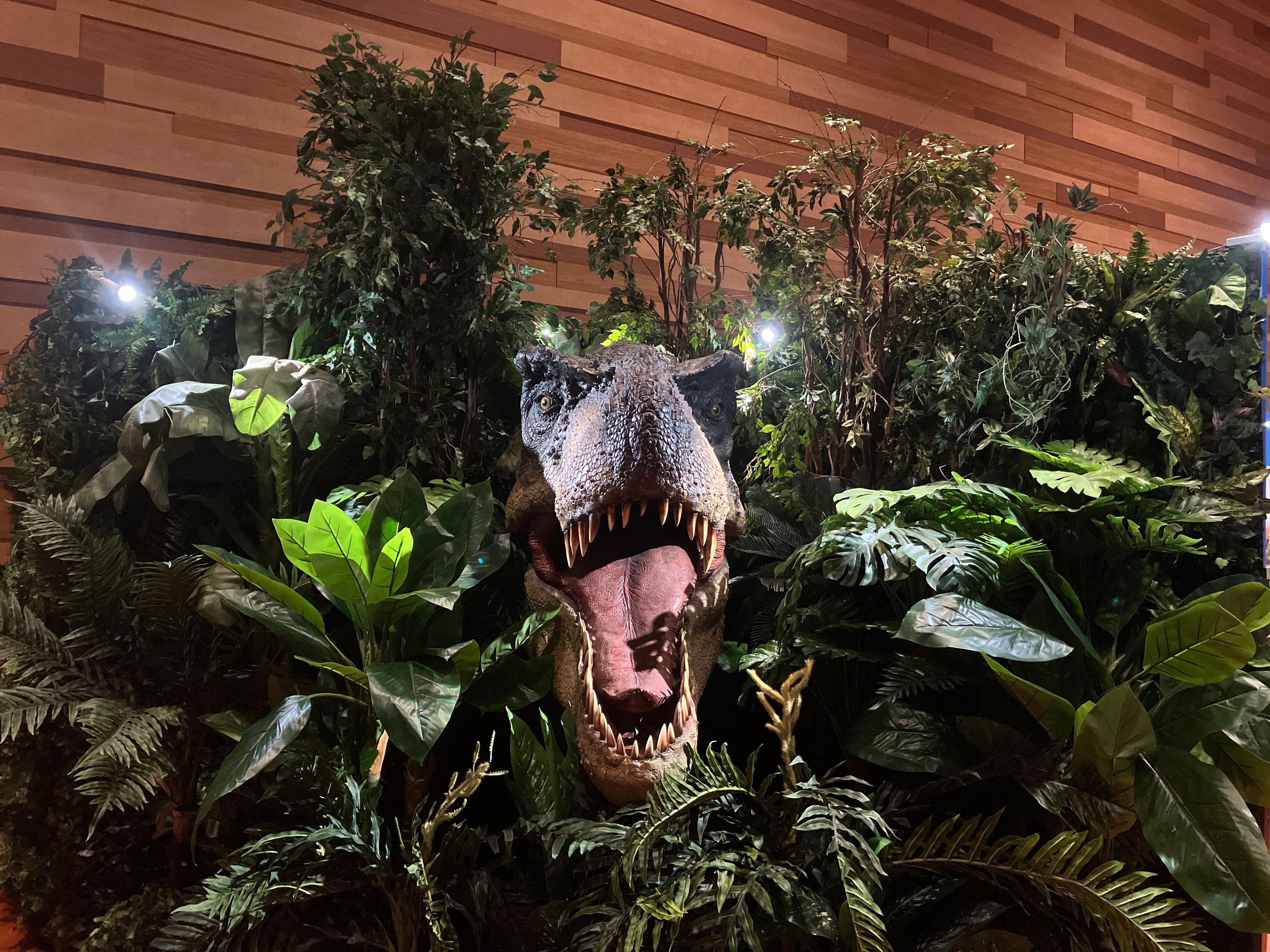 กิจกรรมไดโนเสาร์แบบอินเทอร์แอคทีฟ - Jurassic Maze ที่สถาบันวิจัยไดโนเสาร์ Yomiuriland