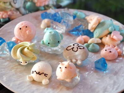 ช่างฝีมือรุ่นใหม่วัย 21 ปีกับความท้าทายใหม่ – ขนมหวานเมอแรงค์มะพร้าวรูปปลาโลมาและแมวน้ำ เตรียมวางจำหน่ายที่พิพิธภัณฑ์สัตว์น้ำในเดือนเมษายน