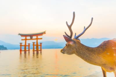 10 Best Places to Visit in Miyajima Island, Hiroshima