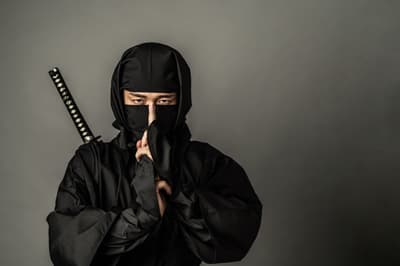About “Ninja”