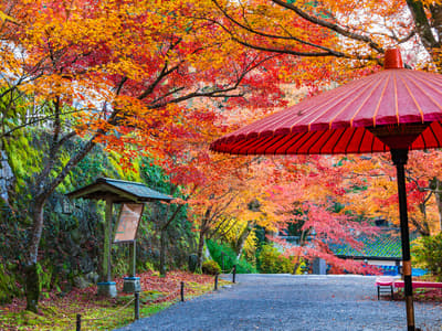 6 Places to Visit in Ohara, kyoto