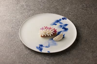 BELLUSTAR TOKYO 呈现食材之旅——北海道冬季套餐，尽享时令美味