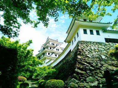 Sekisui Castle Fresh Green Festival 2026 at Gujo Hachiman Castle