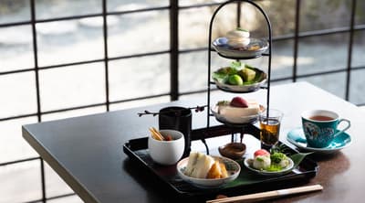 사료 제제, 2026년 3월부터 “음양오행 애프터눈 티” 출시