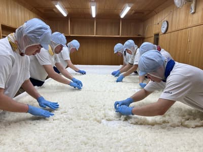 니가타 기쿠스이 양조장에서 즐기는 사케 양조 체험 — 2일간의 구라비토 프로그램