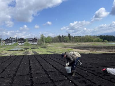 黄金周妙高"心动体验博览会"——挖土、手作、品味，大人小孩都尽兴
