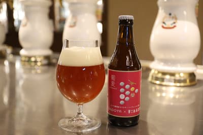 富士櫻高原麥酒與SADOYA酒莊合作推出使用卡本內蘇維翁的HOBAKU聯名啤酒