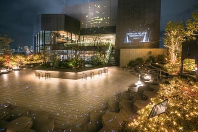 Illumination Extending into the New Year! OMOHARA Christmas Illumination Features a "Forest of Falling Stars" in the Heart of Omotesando