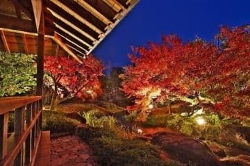 El Jardín Koko-en será sede de un evento de iluminación de otoño