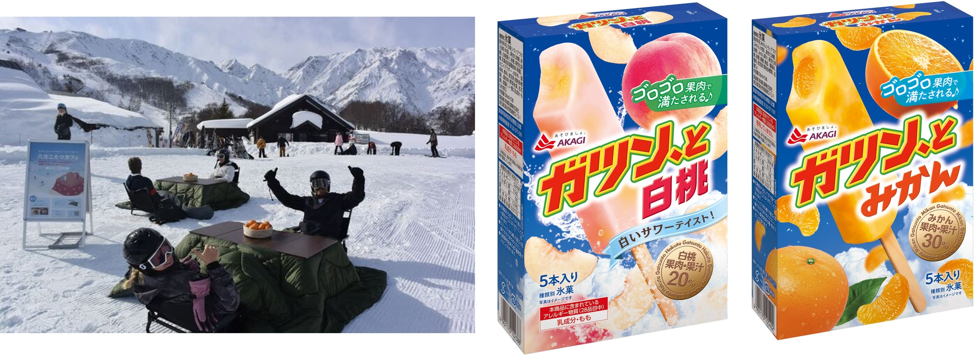 งานชิมฟรี Gatsun, to Mikan ที่ Hakuba Happo-one Ski Resort Kotatsu Cafe