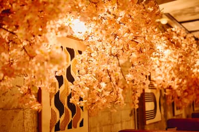 義式葡萄酒吧CONA舉辦「Ohanami Bar 2026」活動，以櫻花和5款全新春季菜單迎接春天