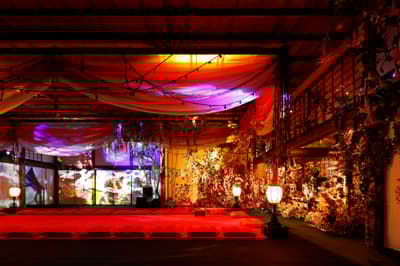 DAZZLE × Mika Ninagawa with EiM Open Photography-Permitted Art Viewing Tickets for Hanayoi no Daichakai (Flower Night Tea Ceremony) at Fūgetsu-den from March 29