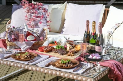 Shin-Yokohama Prince Hotel Launches Rooftop "Sakura BBQ" Plan for Cherry Blossom Season