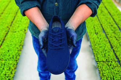 德島「Watanabe’s」天然藍染工作坊今春回歸Allbirds丸之內店