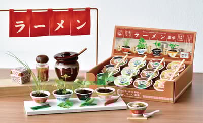 ปลูกเครื่องราเม็งในชามย้อนยุคขนาดพอดีฝ่ามือด้วยชุดปลูกเครื่องปรุงราเม็งใหม่