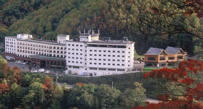 Hotel Taisetsu ONSEN & CANYON RESORT Unveils New "Forest Room" Category in First Major East Wing Renovation in About 40 Years