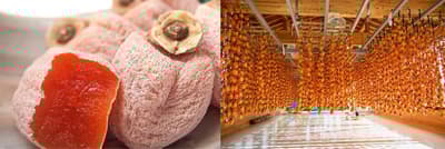 Watahan's "Shinshu's Blessing Ichida Kaki Dried Persimmon" Returns to Shop Channel on January 17 After Selling Out in 30 Minutes