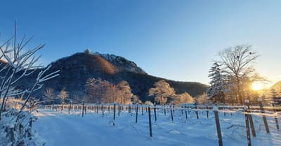 Se lanza oficialmente el único tour guiado con degustación y servicio de transporte de la bodega de Sapporo