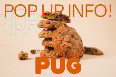 PUG 아메리칸 쿠키 브랜드, 히로시마 파르코 및 미쓰이 아울렛 파크 기사라즈에 팝업 스토어 오픈 예정