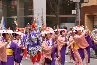 Festival Hakata Dontaku
