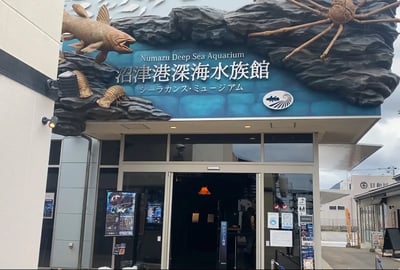 沼津港深海水族馆和美食之旅