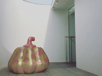 10 Cool Spots You Must Visit in Tokyo
