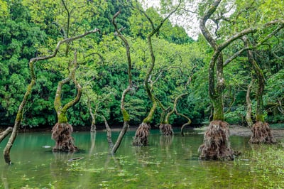 The 5 Best Hidden Gems with Great Views in Fukuoka