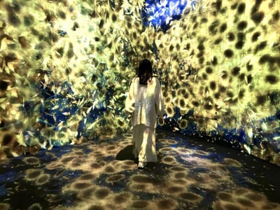 teamLab Borderless: Newly Opened in Azabudai Hills, Tokyo! Explore Digital Artworks, Ticket Price