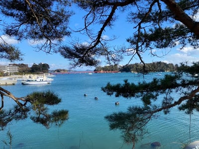 Miyagi 2 Day Itinerary: Enjoy spectacular seaside views and seafood gourmet food (Day 2)